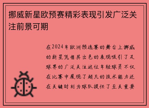 挪威新星欧预赛精彩表现引发广泛关注前景可期