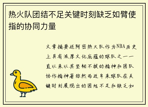 热火队团结不足关键时刻缺乏如臂使指的协同力量