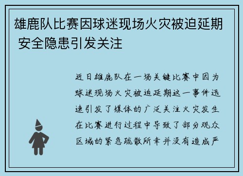 雄鹿队比赛因球迷现场火灾被迫延期 安全隐患引发关注